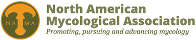 north american mycological association